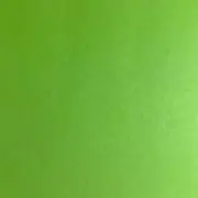 みーちゃんの画像
