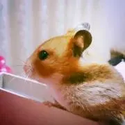 蒼宙の画像