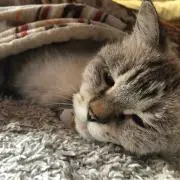 みらち
