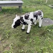 モリモリの画像