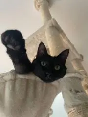 ma-ki(=^・^=)