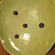 えいの画像