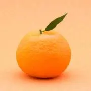 みかんの画像