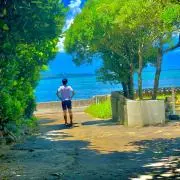 はる【24時間以内発送】の画像
