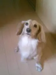 そらの画像