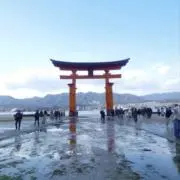 日本人の画像