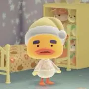 ちゅんの画像