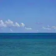 sappiの画像