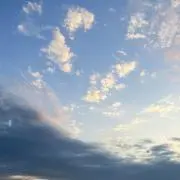 ぴの画像
