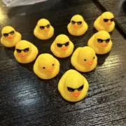 赤トンボの画像