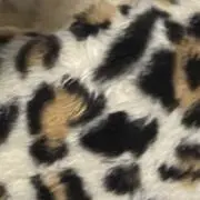 hの画像