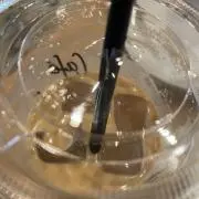bearの画像