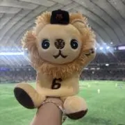 きゃのんの画像