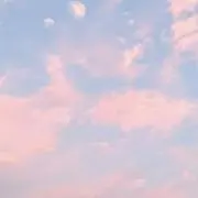 こもちの画像