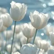 n_0.4