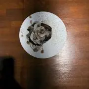 Sellの画像