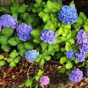 お値引き歓迎❣️気になる物ありますか？の画像
