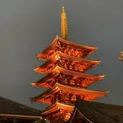 シュウの画像