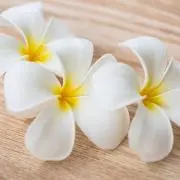 ララー♡*:.✧の画像