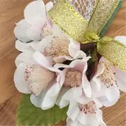 ひかりの画像