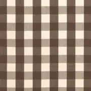 チュニの画像