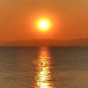 てたろーの画像