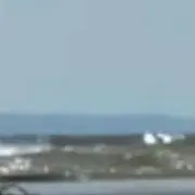 ねの画像