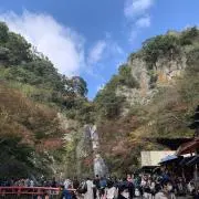 ninkyoutouの画像