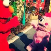 chalanの画像