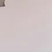 断捨離中の画像