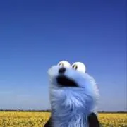 ヒューム菅の画像
