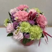 ゆうとも❤︎の画像