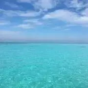 ririの画像