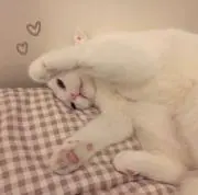 そるの画像