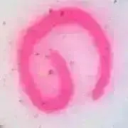 カミン※私のプロフィール確認してください