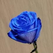 86700