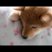 ♡Tnk_Wkn♡の画像