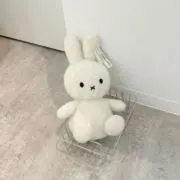 Mちゃんの画像