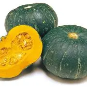 Kabocha 南瓜の画像