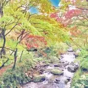 DRT クラッシュ9 オリカラ 黄鬼 レアカラー - メルカリ