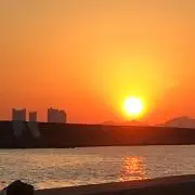 しなもやの画像