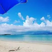 リボン☆プロフ必読✦断捨離中の画像