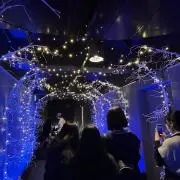 みやびの画像