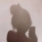 aaa