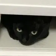 のんの