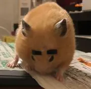 はる