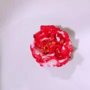 ♡の画像