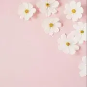 mocoの画像