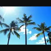 ALOHA