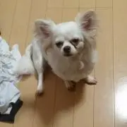 you